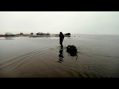 Видео: Весна в феврале! Открытая вода, жерлицы, спиннинг
