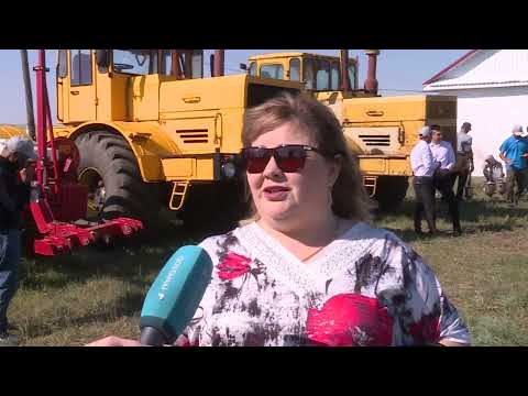 Видео: "Агробизнес".День поля в Денисовском районе