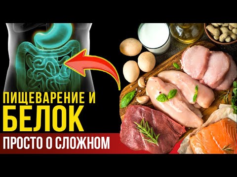 Видео: 🟢Нормы Белка, биохимия, гормональная регуляция.