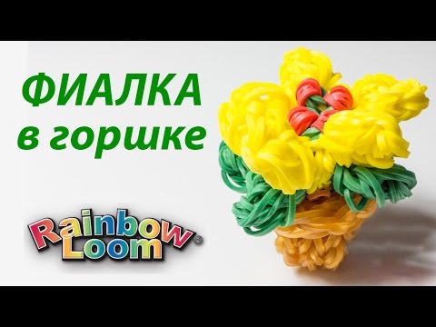 Видео: ФИАЛКА В ГОРШКЕ из резинок Rainbow Loom Bands. Урок 157