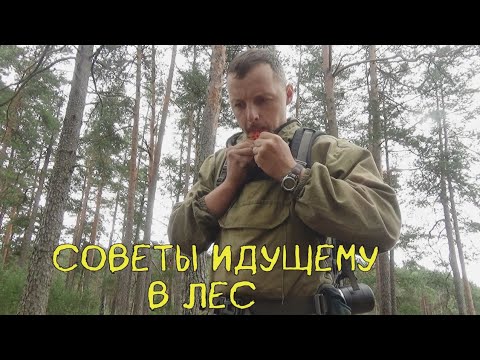 Видео: Советы идущему в лес.