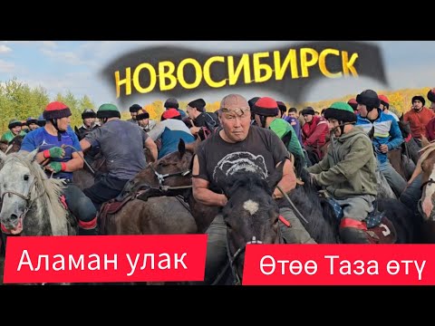Видео: Новосибирск 25 сентября 2025 Равшан аканин Неверелерине арналган аламан улак #атбазар #rek