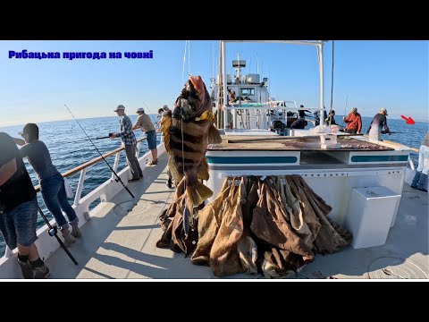 Видео: Супер кльов! Ловимо в океані з корабля| San Diego