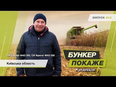 Видео: #БункерПокаже, №13. ТОВ «Успіх». Збір урожаю гібридів кукурудзи СИ Шикарі ФАО 200, СИ Фрегат ФАО 250