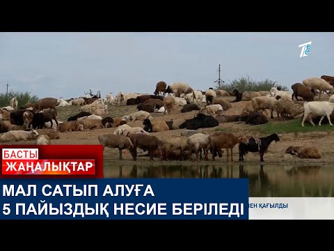 Видео: МАЛ САТЫП АЛУҒА 5 ПАЙЫЗДЫҚ НЕСИЕ БЕРІЛЕДІ