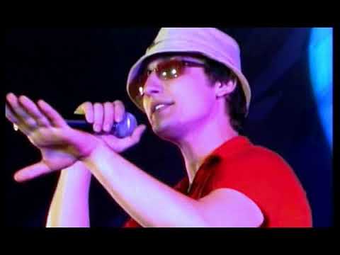 Видео: Шамо   Черноглазая