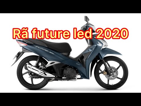 Видео: Лягушка, устремленная в будущее