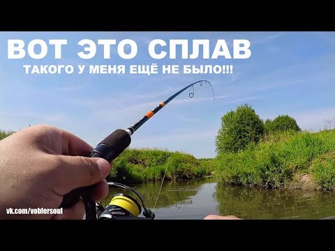 Видео: ВОТ ЭТО СПЛАВ! Ловля ГОЛАВЛЯ на Малой Реке. Рыбалка с Ночёвкой. ТУТ ОЧЕНЬ КРУТО! Спиннинг.