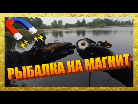 Видео: РЫБАЛКА НА ПОИСКОВЫЙ МАГНИТ в Германии !