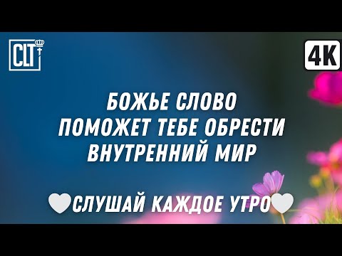 Видео: Вы окружены заботой Небесного Отца | Библия утром | Relaxing