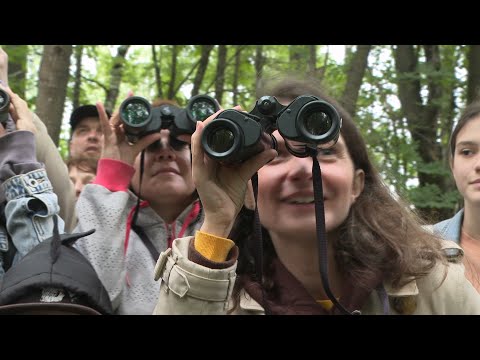 Видео: Орнитологические экскурсии в Юнтоловском заказнике