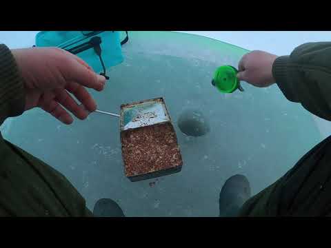 Видео: Суточная рыбалка с ночевкой на Печенежском вдхр. с.Хотомля март 2021.