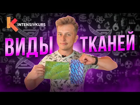 Видео: Биология с нуля — Ткани Растений