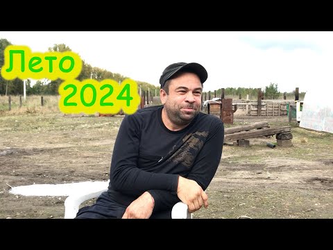 Видео: Лето 2024