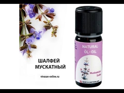 Видео: Эфирное масло ШАЛФЕЯ