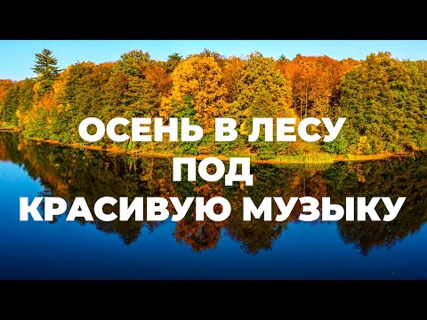 Видео: Осень в лесу под красивую музыку 4K. Осенняя листва для релаксации