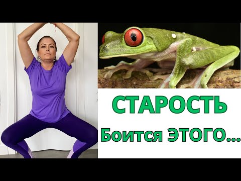 Видео: Самое Полезное Упражнение ЛЯГУШКА  для Женского и Мужского Здоровья ! ЭТО ПОМЕНЯЕТ ВАШЕ ТЕЛО!