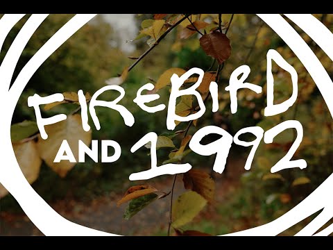 Видео: Эти новые LUT-таблицы сопровождаются предупреждением