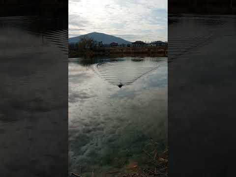 Видео: Прикормочный кораблик V030 GPS Часть 2