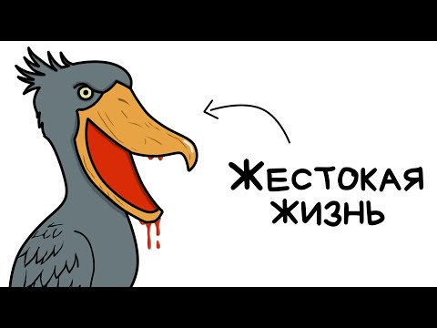 Видео: Ты - Китоглав (И ЭТО ПОЛНЫЙ ОТСТОЙ)