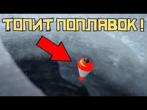 Видео: ЭТО КРУПНАЯ РЫБА?! Клюёт на поплавок ЗИМОЙ! Такая рыбалка ВОСХИЩАЕТ!