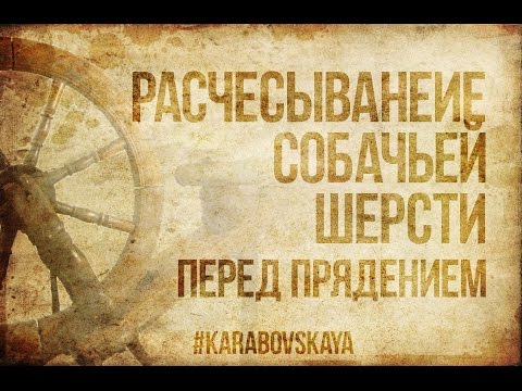 Видео: Расчесывание собачьей шерсти перед прядением.