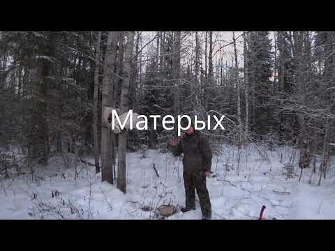 Видео: Волки лютуют, крадут собак ... На двух снегоходах, по следам волков. Усть-Вымский р-н.