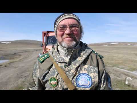Видео: Самый опытный полярник - инспектор заповедника, который может всё!