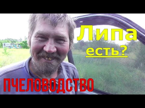 Видео: Новый Булевард / Липа 2022 / По всем пасекам.