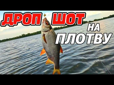 Видео: 💥 ПЛОТВА НА СНАСТЬ ДРОП-ШОТ 💥
