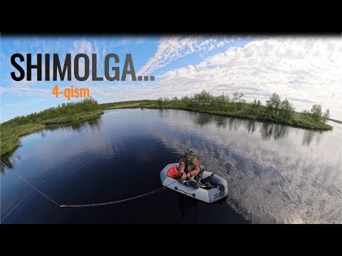 Видео: Шимолга 4 кисм