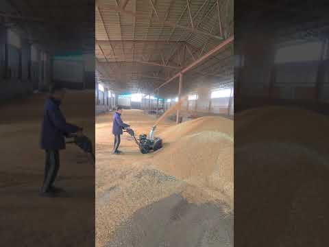 Видео: Снегоуборщик для зерна,zitrek 6.5 л/с