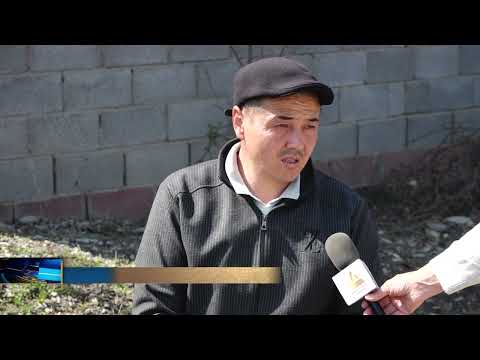 Видео: Мырза-Аке айыл өкмөтү