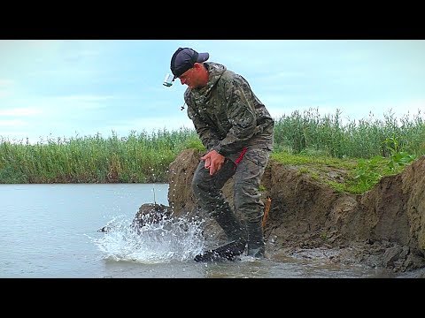 Видео: В ЭТОЙ ЯМЕ РЫБЫ МНОГО. РЫБАЛКА НА ЗАКИДУШКИ в грозу и ливень. Ловля сазана на жмых.