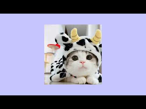 Видео: zhanulka-заклятый враг (speed up)