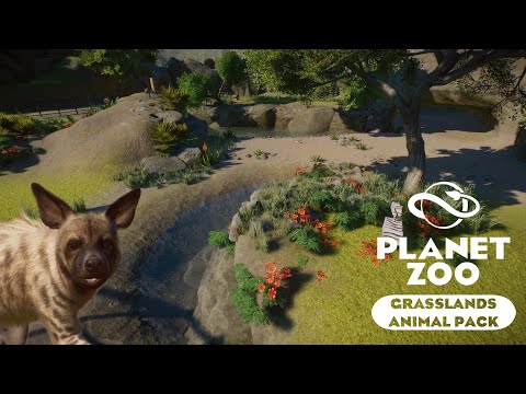 Видео: Planet Zoo: Grasslands Animal Pack - Полосатая гиена