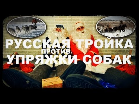 Видео: Галилео.  Русская тройка против упряжки собак