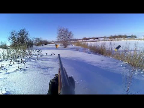 Видео: Зайцы меня атаковали, Супер Охота на Зайца.