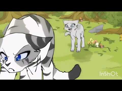 Видео: Искра: -каждый хочет стать теперь врагом моим