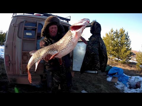 Видео: ЭТИ ЩУКИ НЕ ЛЕЗУТ В ЛУНКИ!!! НОЧУЕМ В "БУХАНКЕ"!!ОКУНЯ ГИГАНТЫ!!!