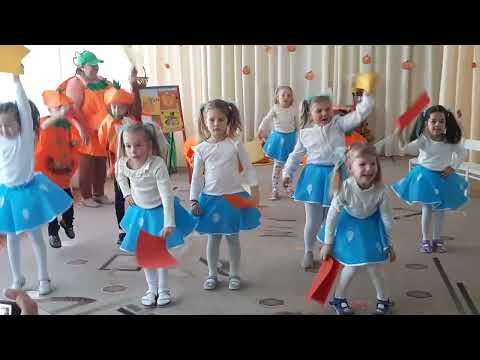 Видео: 29 октября 2025 г.