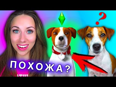 Видео: СДЕЛАЛА ДЖИНУ в СИМС 3 ПИТОМЦЫ ФАКТЫ О МОЕЙ СОБАКЕ ИГРАЕМ | Elli Di Pets