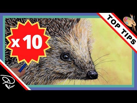 Видео: СОВЕТЫ ПО РИСОВАНИЮ ЕЖЕЙ (10 советов по реалистичному рисованию дикой природы)