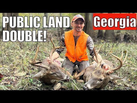 Видео: ДВА БАКСА на общественной земле Джорджии (НЕРЕАЛЬНАЯ утренняя охота)