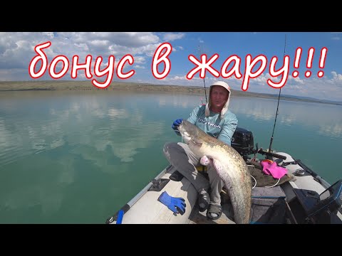 Видео: Сом на квок  Бонус в жару