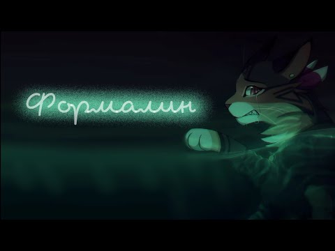 Видео: «Формалин»//Коты Воители
