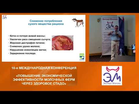 Видео: Преображенский Дмитрий ＂Аспекты поддержки организма коров в транзитный период как залог производстве