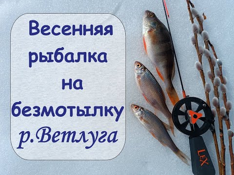 Видео: Весенняя рыбалка на безмотылку. Река Ветлуга