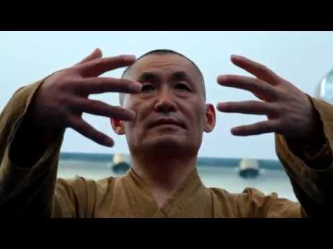 Видео: Занятия Мастера Ши Янбина по тайцзи и цигун апрель 2016