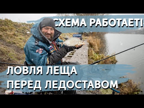 Видео: КАК ПОЙМАТЬ ЛЕЩА НА ФИДЕР ЗИМОЙ? Зная ЭТИ СЕКРЕТЫ, будешь всегда с РЫБОЙ!